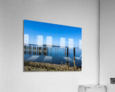 IMG 1842 Acrylic Print