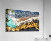 Lake Louise and Larch Trees  Acrylic Print