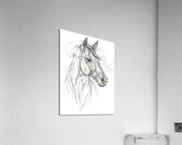 73  Acrylic Print