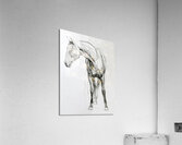 75  Acrylic Print