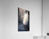 Long Road Home Acrylic Print