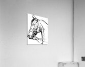 76  Acrylic Print