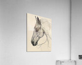 81  Acrylic Print