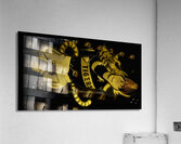 Vintage Tiger Football Cartoon Art Acrylic Print