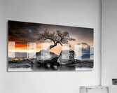 Tree of Life Series  4 Acrylic Print