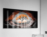 Tree of Life Series  22 Acrylic Print