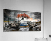 Tree of Life Series  25 Acrylic Print