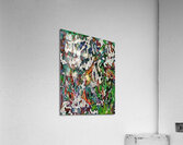 Portina Acrylic Print