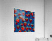 Nu Expressionism Acrylic Print