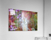 Milkweed Seeds Acrylic Print
