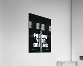 plane Acrylic Print