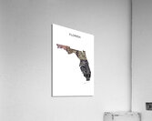 Florida white Acrylic Print
