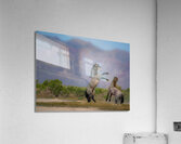 BZ9 6970 Enhanced NR Acrylic Print