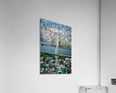 Tokyo Japan9 Acrylic Print