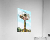 Singapore3 Acrylic Print