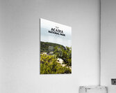 Acadia National Park Acrylic Print