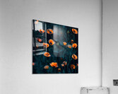 Poppies Redux 1 Acrylic Print