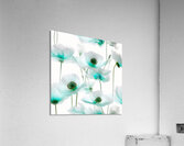 Poppies Redux 3 Acrylic Print
