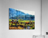 Bandung Deer 4k1 Acrylic Print