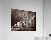 Weathered Acrylic Print