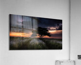 Paradiso Perduto Paradiso Ritrovato 12 Acrylic Print