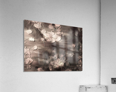 Balance Acrylic Print