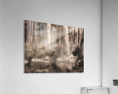 Cathedral Acrylic Print