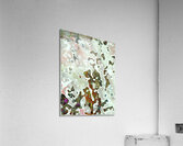 Fundoli Acrylic Print