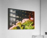 Vibrant Butterfly Acrylic Print