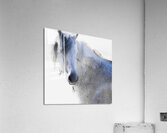 BZ9 0937 Enhanced NR Acrylic Print