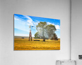 Volner Cattle Company Day Ranch Acrylic Print