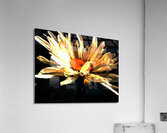 Abstract Daisy Flower Acrylic Print