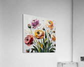 Ranunculus  1 Acrylic Print