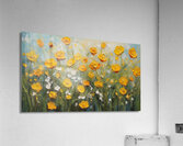 Buttercups   5 Acrylic Print