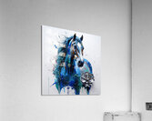 Illustration266 Acrylic Print