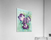 Pop of purple 17.25x23.5 Acrylic Print