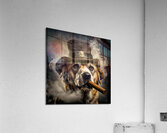 DERBY DOG Acrylic Print