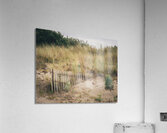 Buried Sand Fencing Acrylic Print