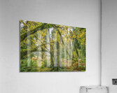 gDAV 8573 Acrylic Print