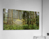 gDAV 8240 Acrylic Print