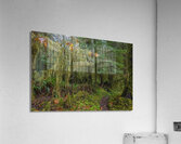 gDAV 8560 Acrylic Print