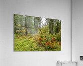 gDAV 8434 Acrylic Print