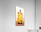 Cat Graffiti  5 Acrylic Print