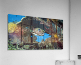 spotted porcupinefish Acrylic Print