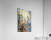 The Journey Home 9 Acrylic Print