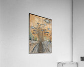 The Journey Home 15 Acrylic Print