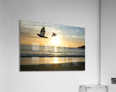 Birds and paddle boarders at the Copacabana Beach in Rio de Janeiro in Brazil at sunrise  Acrylic Print