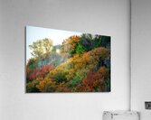 Aurore Acrylic Print