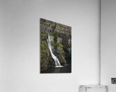 Gravitas Acrylic Print