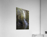 Falling Acrylic Print